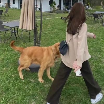 女拳霸